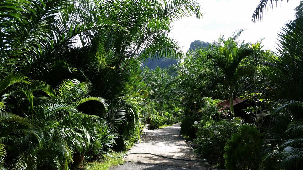 Hotel Khaosok And Spa Khao Sok National Park Zewnętrze zdjęcie
