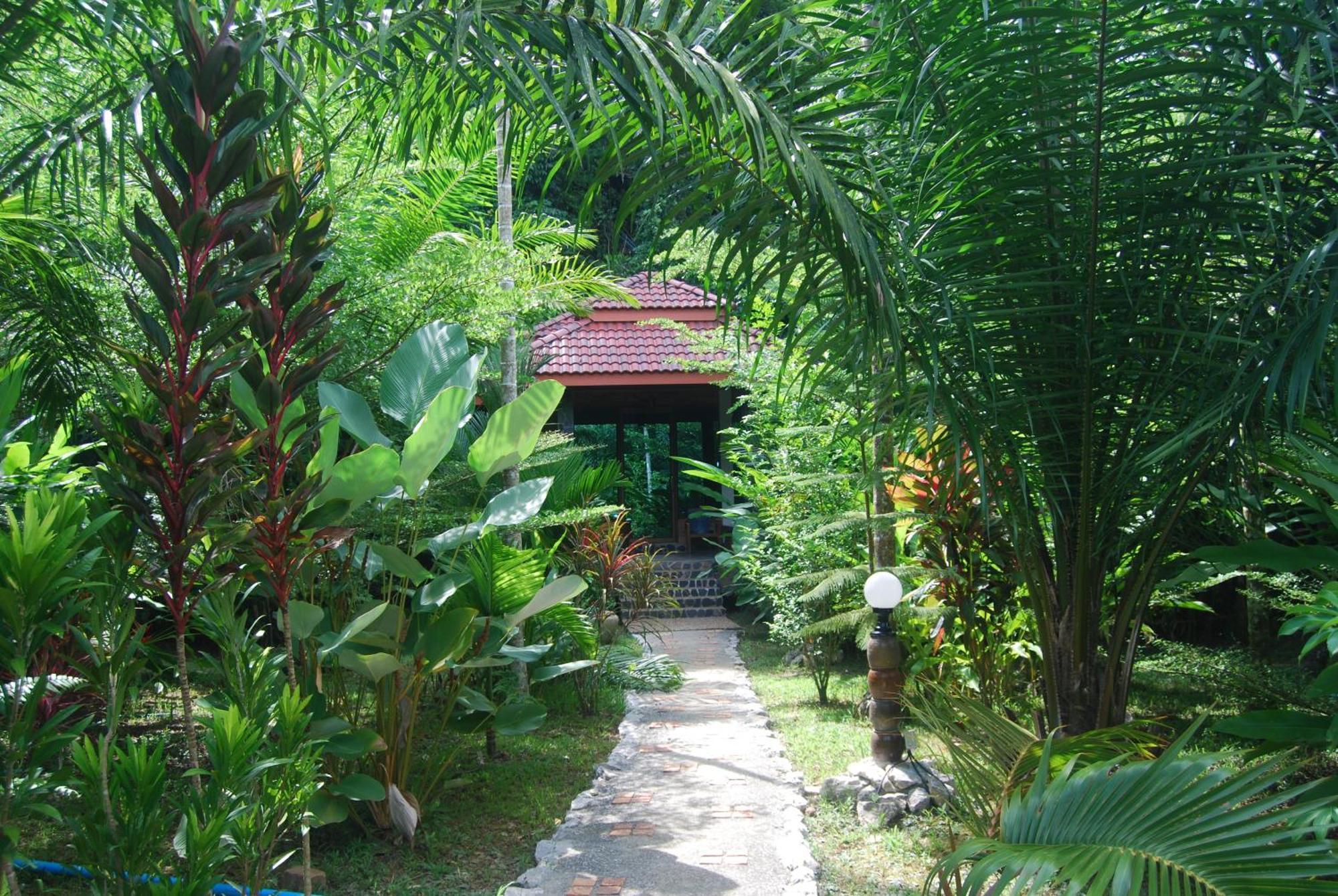 Hotel Khaosok And Spa Khao Sok National Park Zewnętrze zdjęcie
